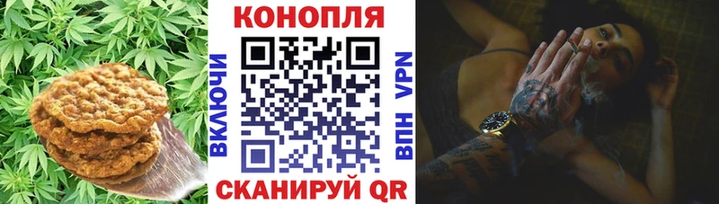 MEGA вход  Урюпинск  Canna-Cookies конопля 