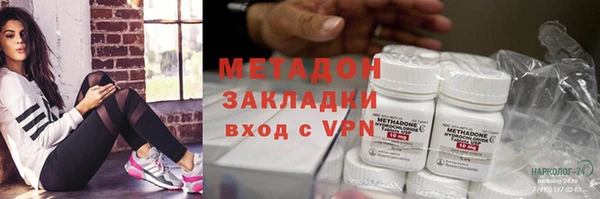 шишки Арсеньев