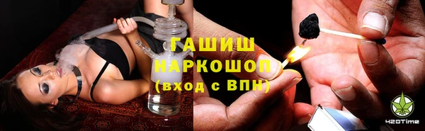 шишки Арсеньев