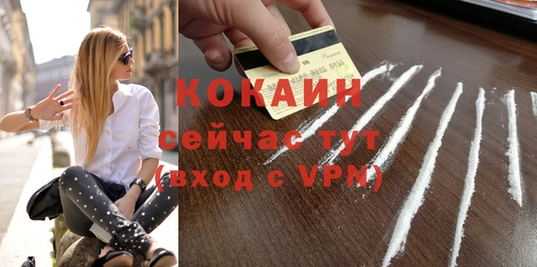 шишки Арсеньев