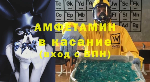 шишки Арсеньев