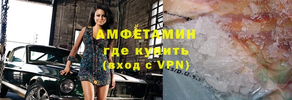 шишки Арсеньев