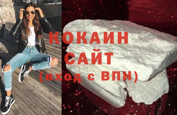 шишки Арсеньев