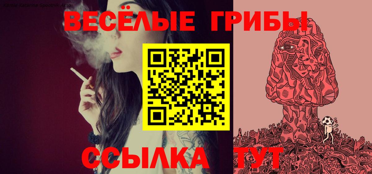 Псилоцибиновые грибы мухоморы Урюпинск