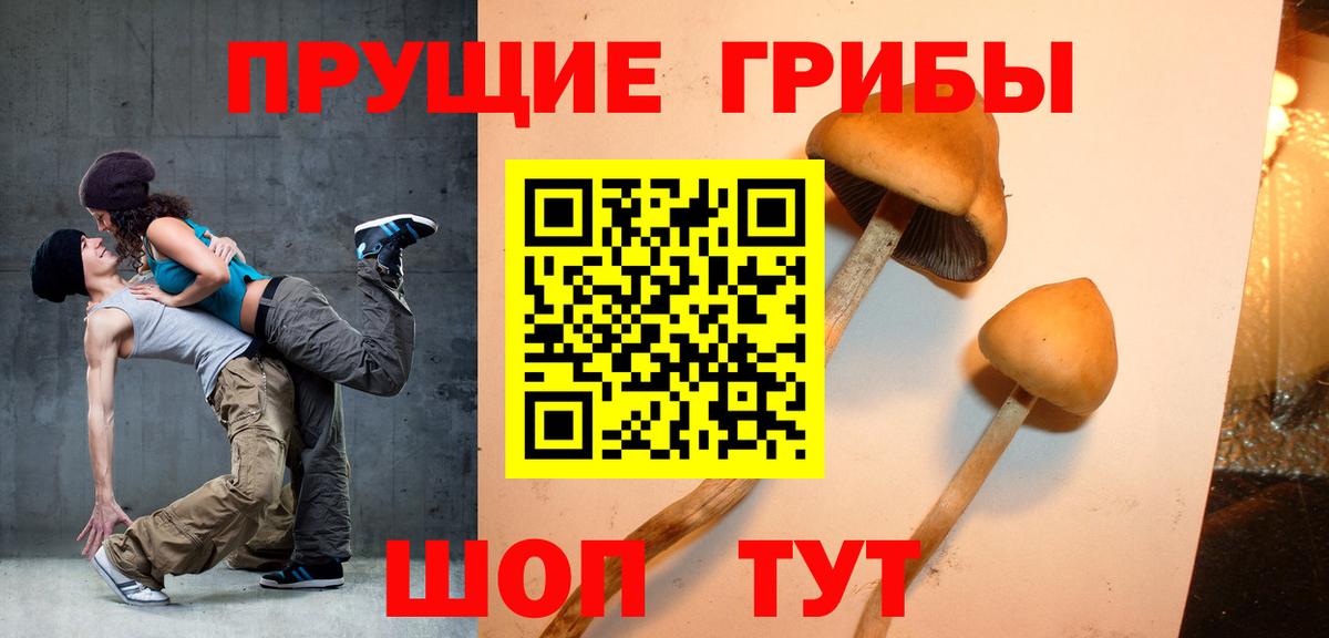 Галлюциногенные грибы мухоморы  Вход с VPN  где продают наркотики  Урюпинск 